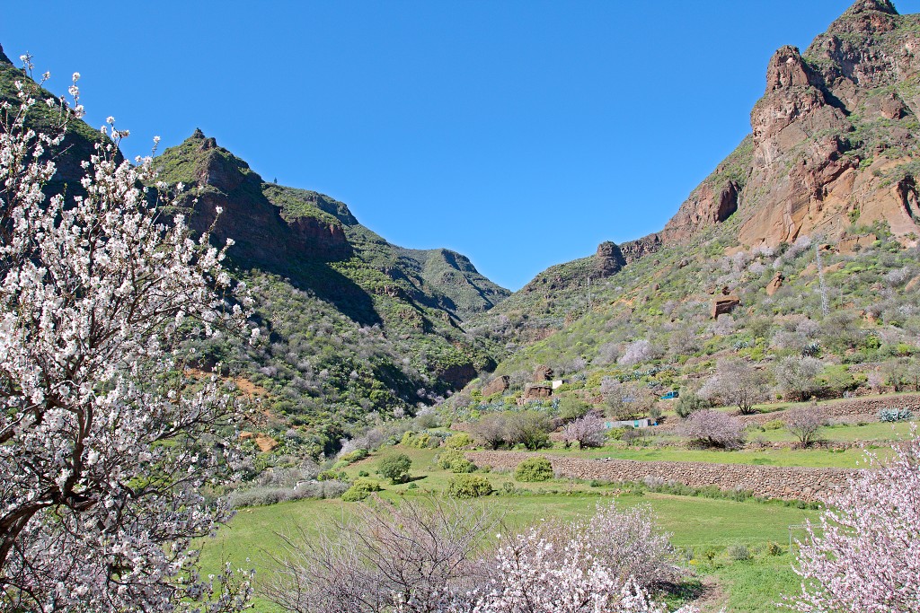 gran canaria spanje Degollada de las Yeguas eiland canarische Eilanden las palmas maspalomas puerto de mogan strand Fuente de Los Azulejos Aguimes la Aldea las nieves tenerife teror